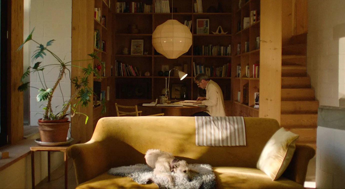 Sculpting Light and Living Space